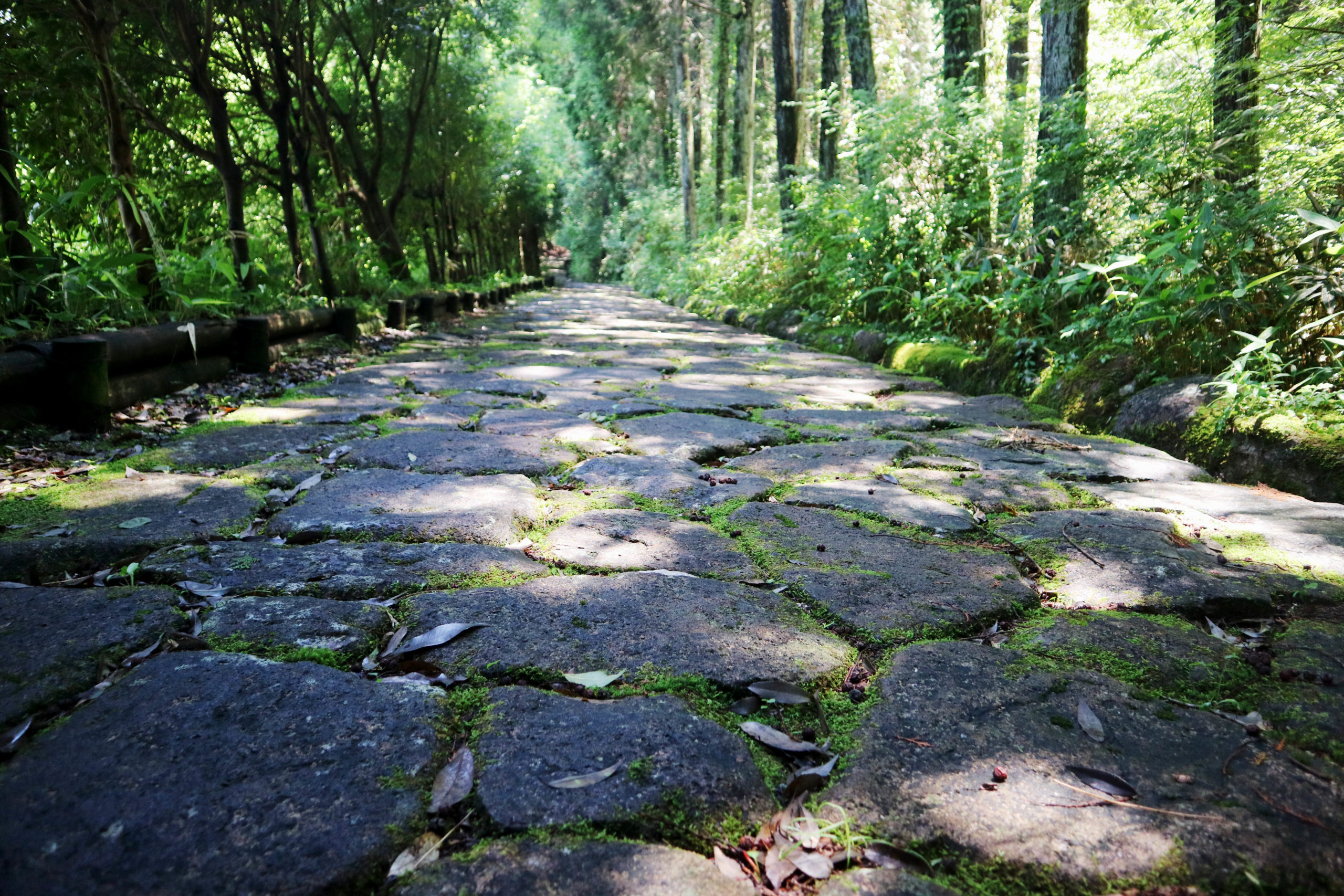 中津川市中山道ウォーキング 落合宿 馬籠宿編 中津川と恵那のいいところ なかえーな